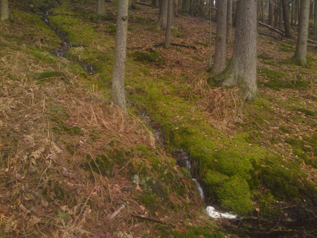 Landgasthof Waldfrieden Hotell Wildensee Eksteriør bilde