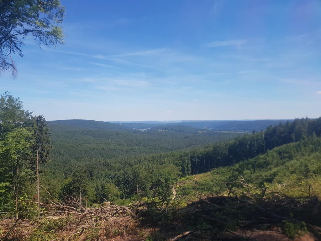 Landgasthof Waldfrieden Hotell Wildensee Eksteriør bilde